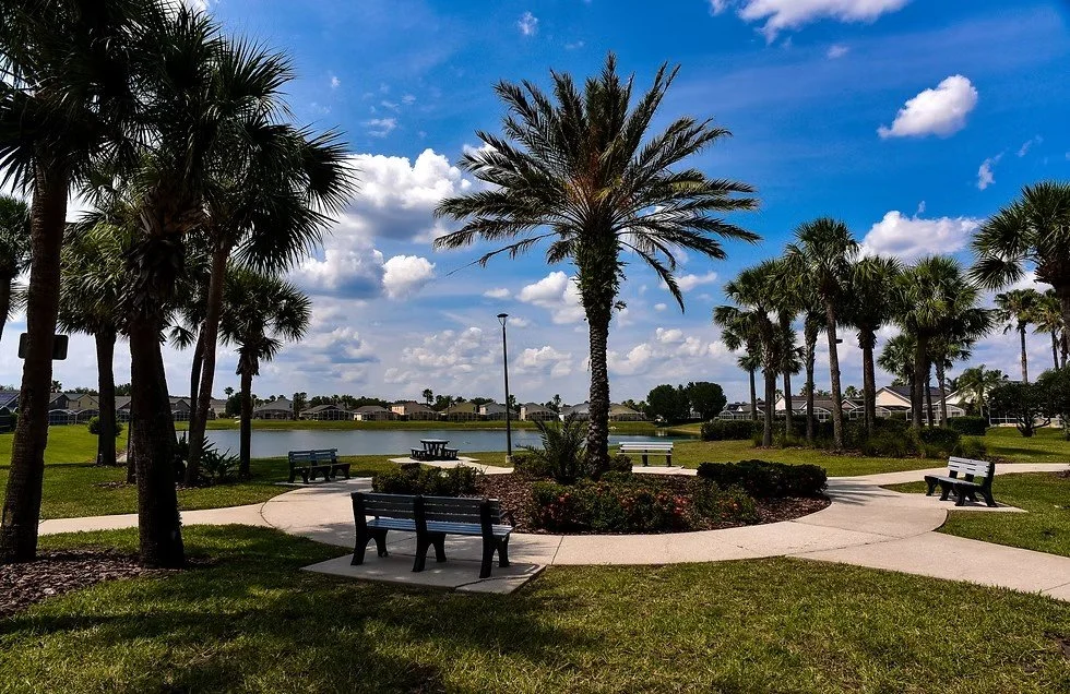 Hampton Lakes lakeside seating area with palms