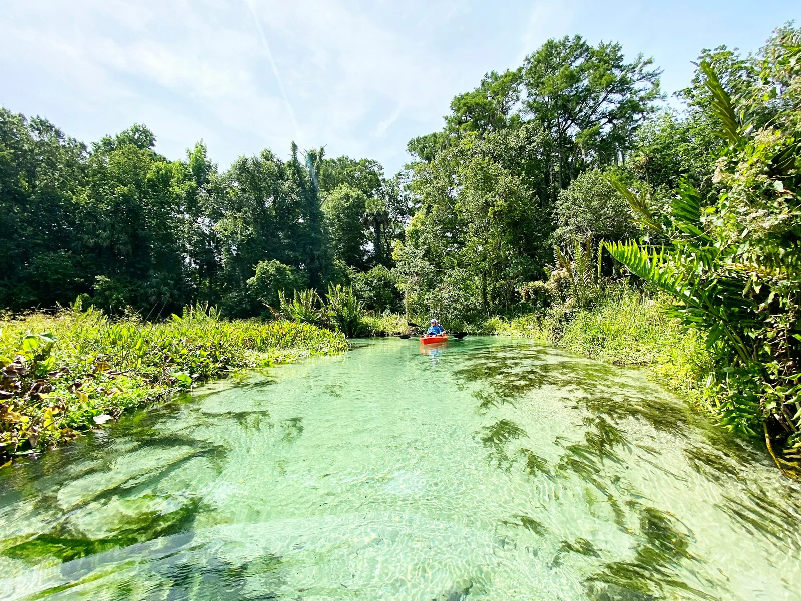 Kayaker gliding through crystal-clear green spring water in Florida